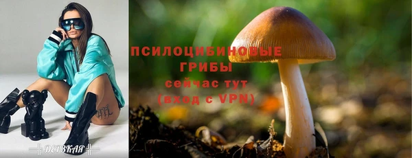 стафф Алексеевка
