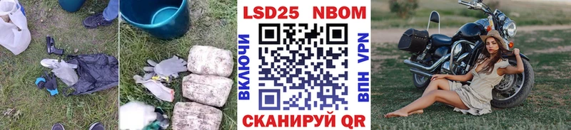 Купить  Кедровый  Лсд 25 экстази кислота 