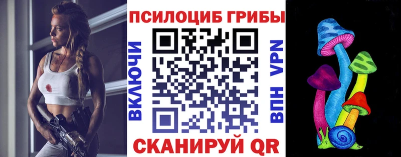 Псилоцибиновые грибы прущие грибы Кедровый