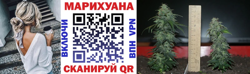 Бошки Шишки LSD WEED  Купить где  Кедровый 